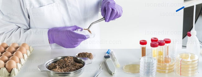 gıda güvenliği sistemi neden gereklidir